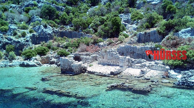 HER DAİM KEKOVA