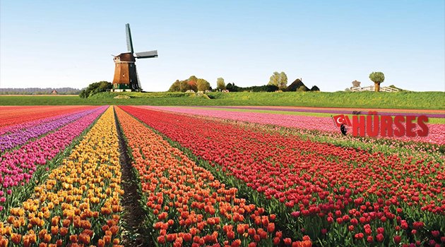 HOLLANDA, EXPO’YA GELİYOR