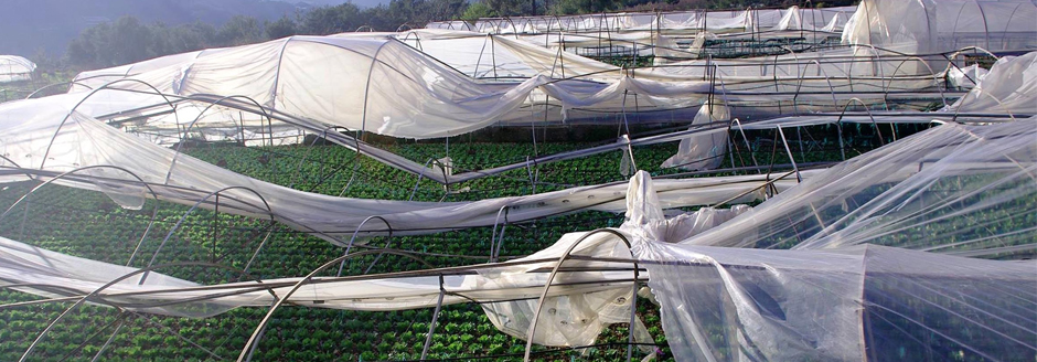 Hortum Seraları Yıktı