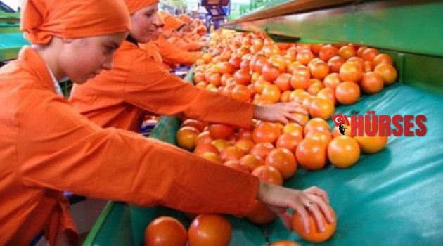 İHRACATA RUSYA DOPİNGİ