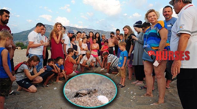 İkinci caretta rekoru