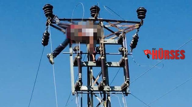 İş kazası can aldı