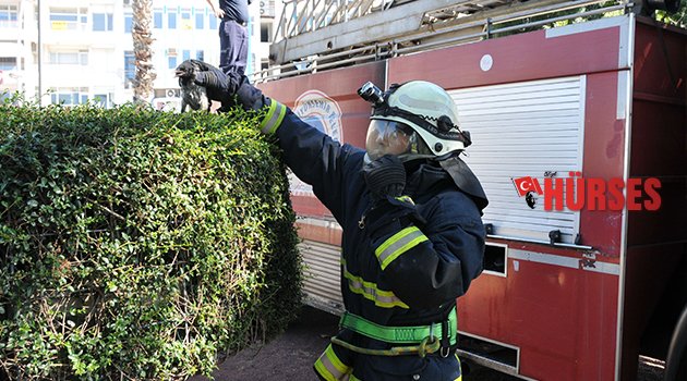 İTFAİYEDEN YAVRU KARGA OPERASYONU