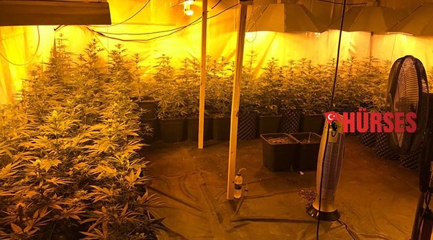 Jandarma gözlerine inanamadı