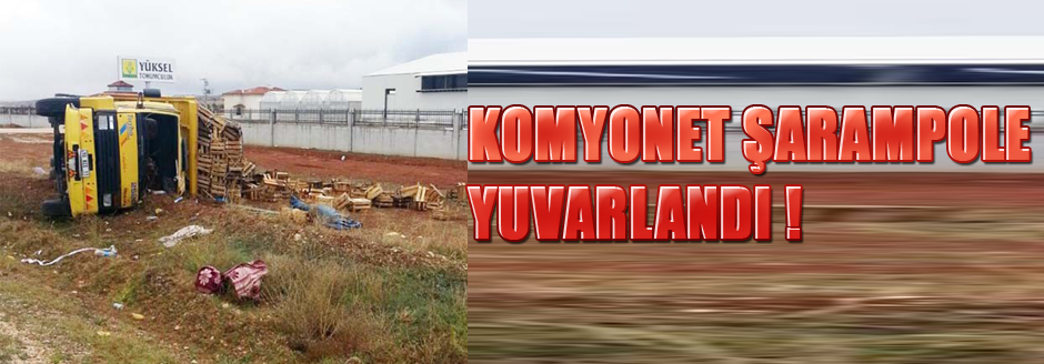 Kamyonet Şarampole Yuvarlandı: 4 Yaralı