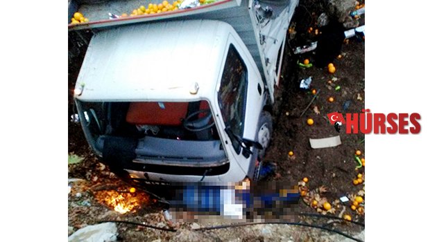 Kamyonet yuvarlandı sürücüsü öldü