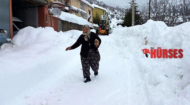 KAR ÇİLESİ