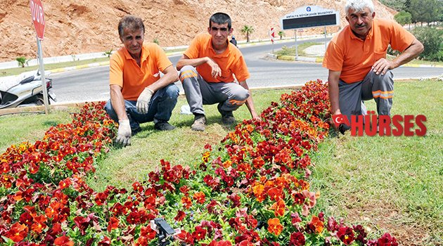 KAŞ ÇİÇEKLENİYOR