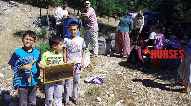 KATLİAMI ARILAR DURDURACAK