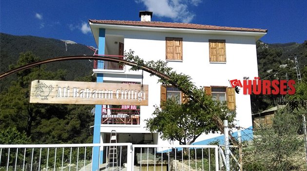 KATLİAMIN SEBEBİ PARA MI?