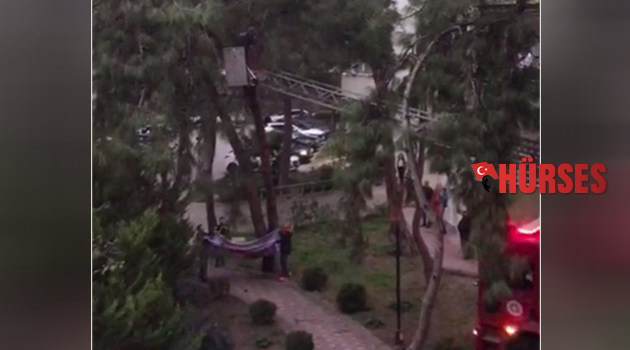 Kedi için itfaiye ve vatandaşlar seferber oldu