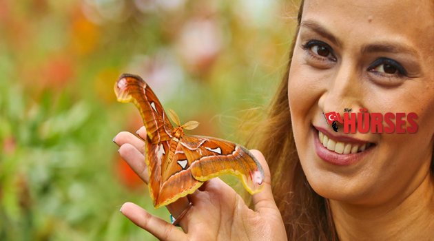 KELEBEK PARK'TA  BAHAR CANLILIĞI