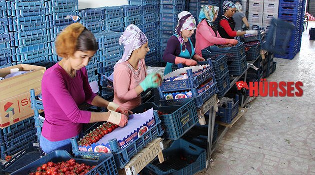 KOMİSYONCU VE ÜRETİCİ UMUTLANDI