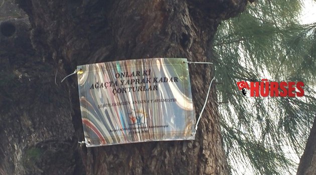 KONGED ÜYELERİNDEN ANLAMLI ETKİNLİK