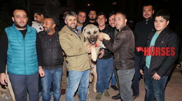 KONSOLOSLUK ÖNÜNDE KÖPEKLİ PROTESTO
