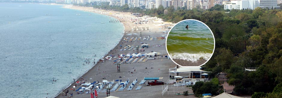 Konyaaltı Sahili Yeşile Dönüşmesin