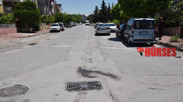 KÖPEK HAVLAMASI  TARTIŞMASI CİNAYETLE BİTTİ
