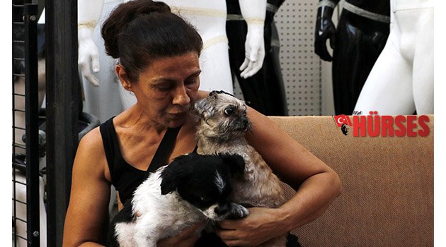 Köpekler mahsur kaldı