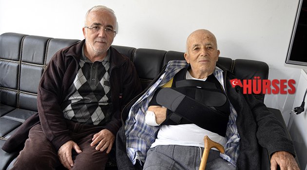 Köpekler saldırdı, yaralandı