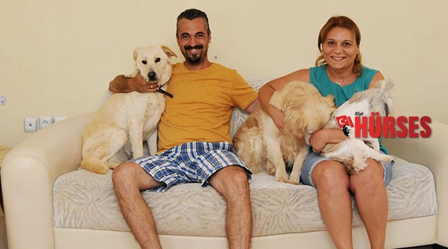 KÖPEKLERE ÖZEL PANSİYON