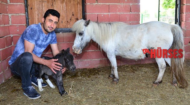 'Kristal'ın siyah yavrusu oldu