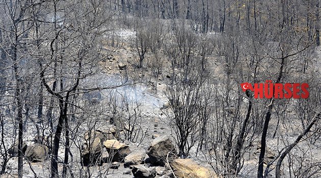 KUMLUCA YANGINI TBMM’YE TAŞINDI