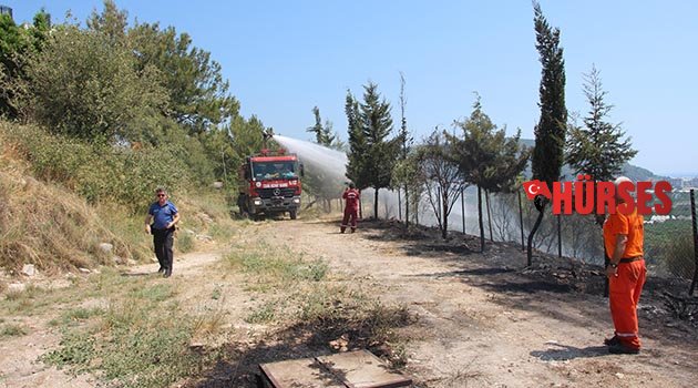 Kumluca'da orman yangını