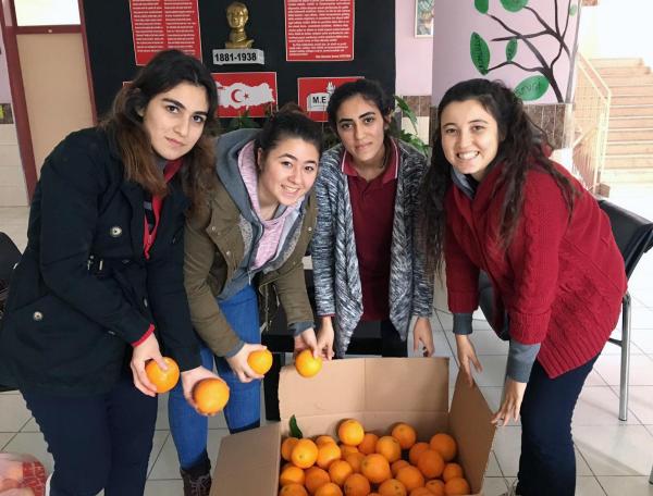 Kumluca'dan Muş'a Sebze Meyve