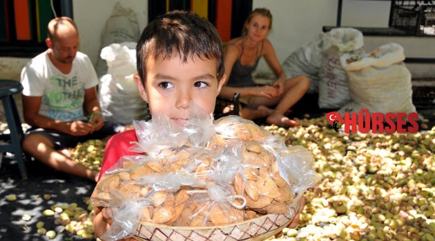 KURAK ARAZİYİ ZENGİNLEŞTİRDİ