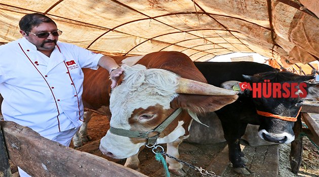 KURBAN KESİM FİYATLARI BELLİ OLDU