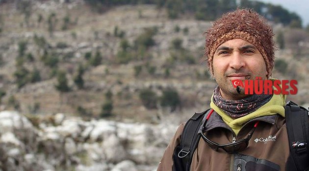 Kurt azalınca, yaban domuzu arttı
