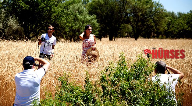 LAVANTA TARLASINA FOTO SAFARİ