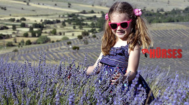 Lavantanın ekonomiye katkısı 5 milyon lira