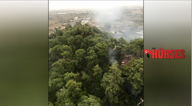 Manavgat'ta orman yangını