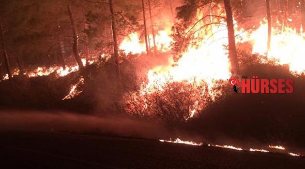 MANAVGAT'TA ORMAN YANGINI