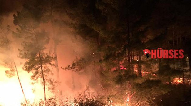 MANAVGAT'TA ORMAN YANGINI