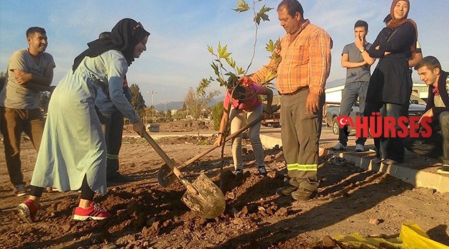 ÖĞRENCİLER FİDAN DİKTİ