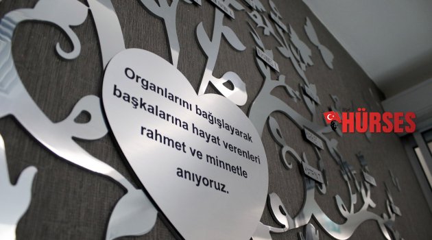 ORGAN NAKLİNİN "YAŞAM AĞACI"