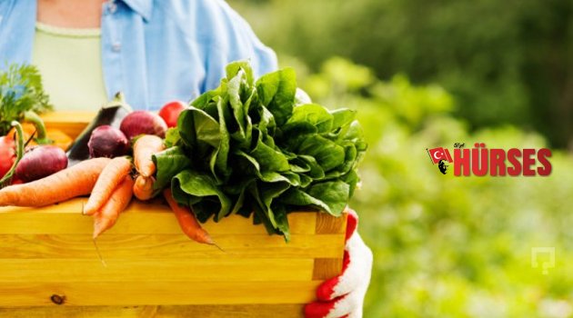 ORGANİK TARIM DESTEĞİ BAŞVURULARINDA SON GÜN 24 MART