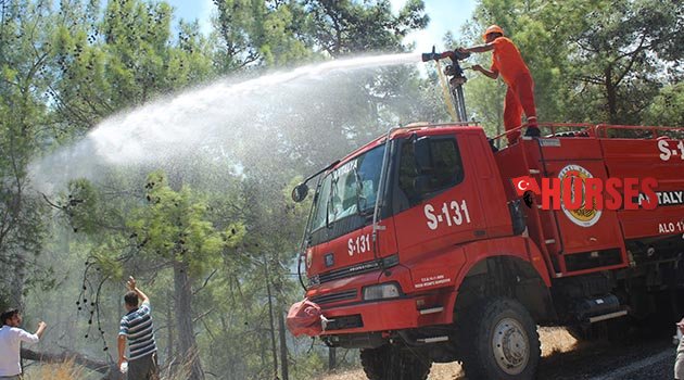 Orman yangını kontrol altına alındı