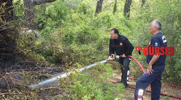 Orman yangını ucuz atlatıldı