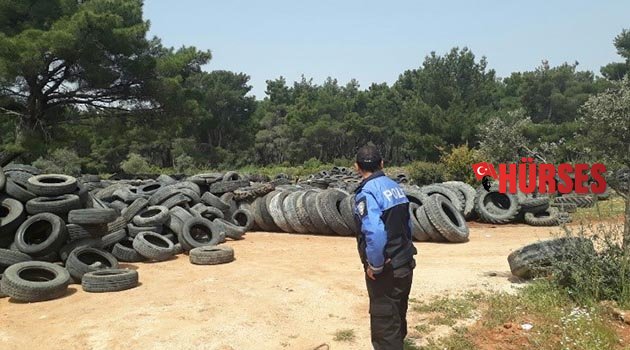 Ormana araç lastiği bıraktılar
