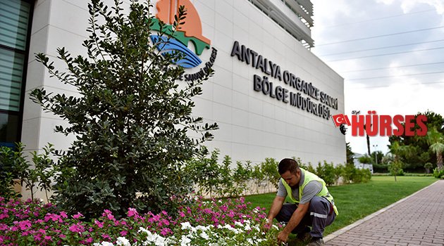 OSB 100.438 TOHUMU TOPRAĞA KAVUŞTURDU