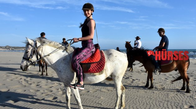 PATARA'DA AT SAFARİ
