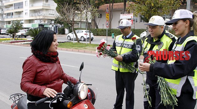 POLİSTEN KARANFİL