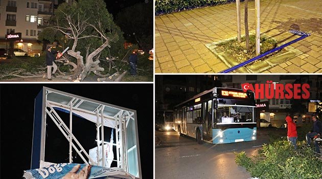 Rüzgar ağaçları kökünden söktü (Hava Durumu)