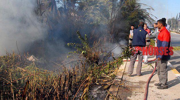 SERİK'TE 5 AYRI NOKTADA ORMAN YANGINI