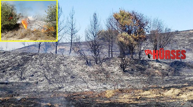 Serik'te makilik yangını