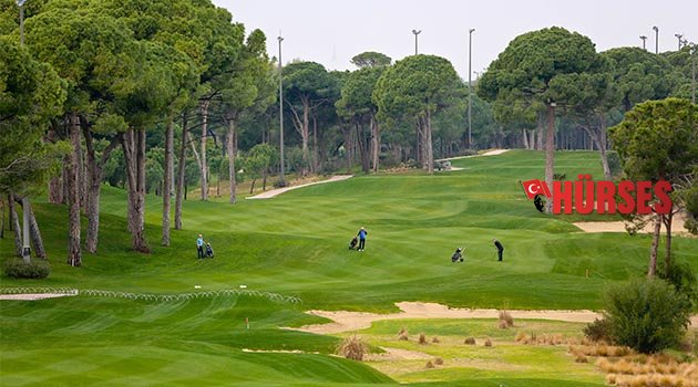 Sincaplar golf sahalarına iniyor