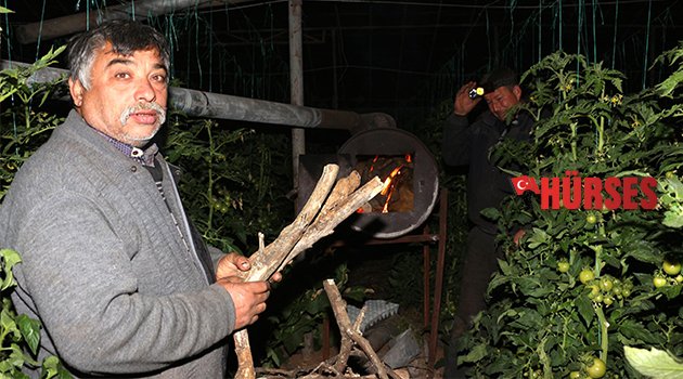 SOĞUK HAVA ÇİFTÇİYİ VURDU